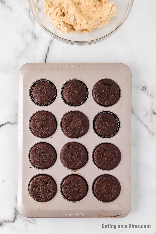 Baked chocolate cupcakes in the muffin tin