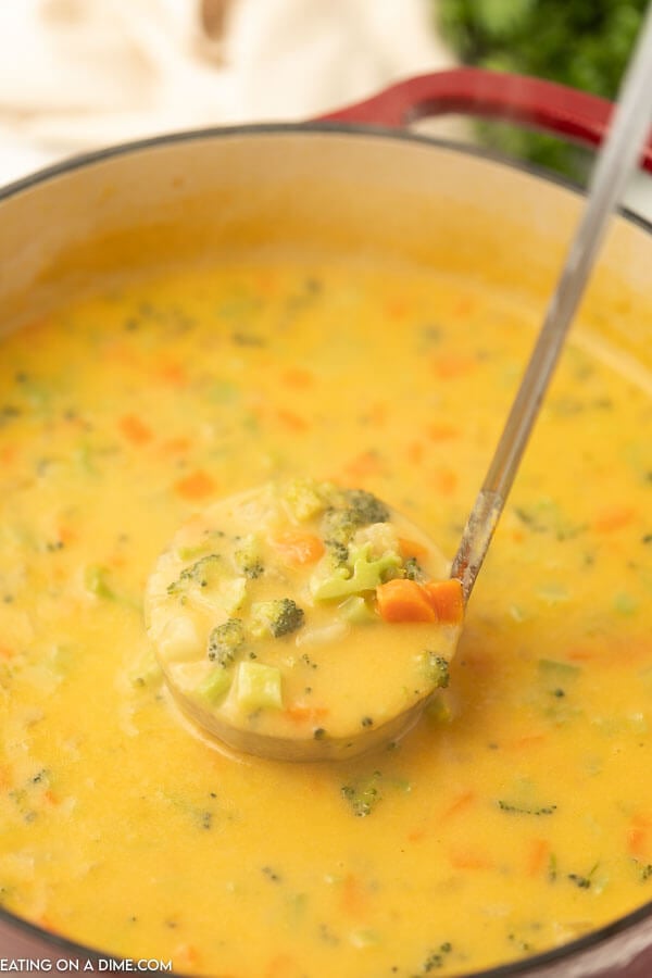 Close up image of creamy vegetable soup in a pot with a ladle. 
