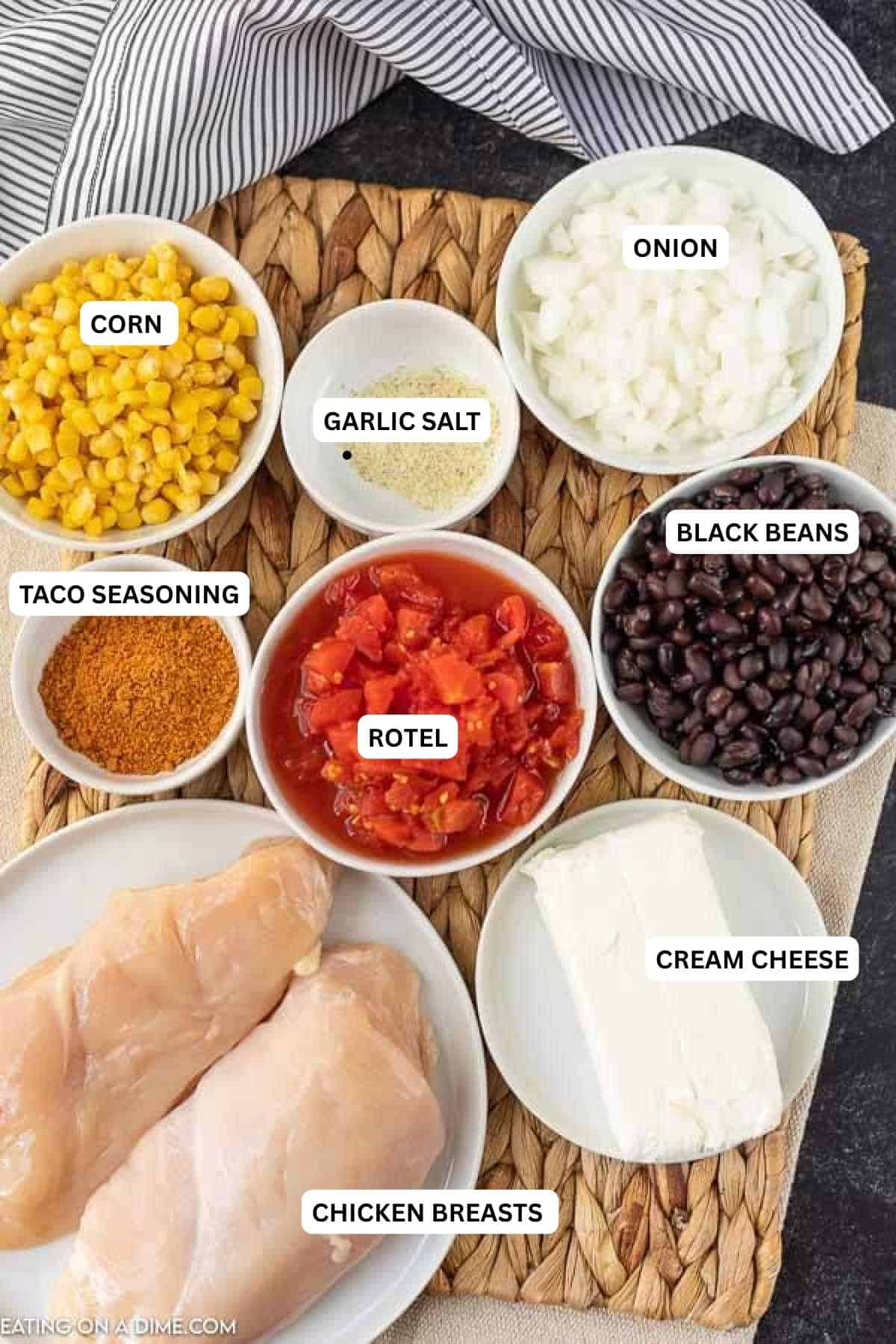 Ingredients for recipe: onion, garlic salt, corn, black beans, taco seasoning, rotel, cream cheese and chicken breasts.