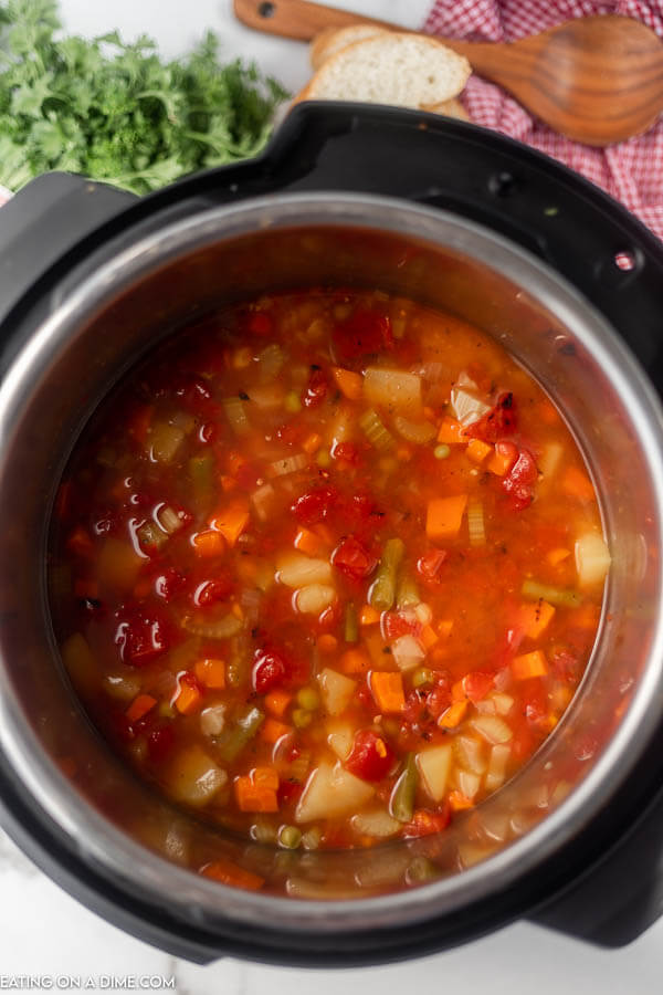 Instant Pot Vegetable Soup - Delicious Soup Ready in minutes!