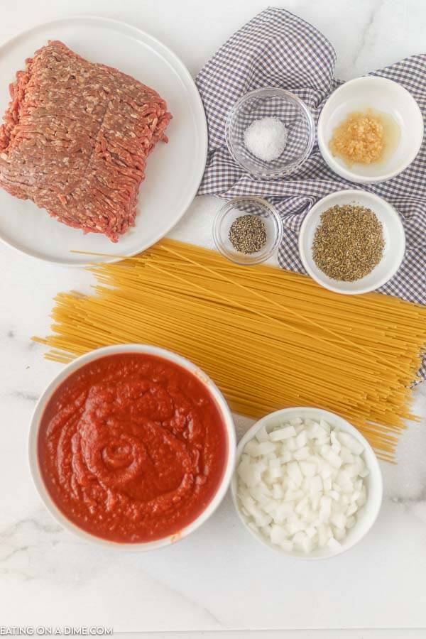 Ingredients needed for one pot spaghetti - ground beef, onion, minced garlic, pasta sauce, oregano, salt and pepper, chicken broth, spaghetti noodles, parmesan cheese. 