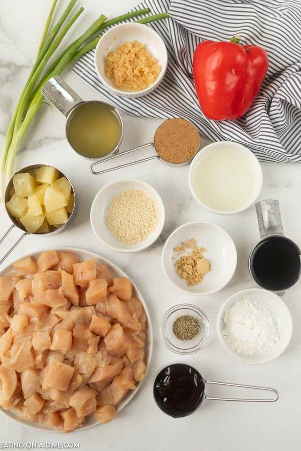 Ingredients for recipe: chicken, seasoning, pineapple, broth, brown sugar. 