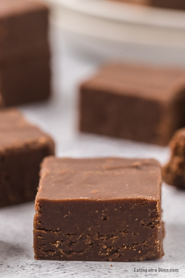 Close up image of a piece of chocolate peanut budge fudge. Pieces of chocolate fudge in the background. 