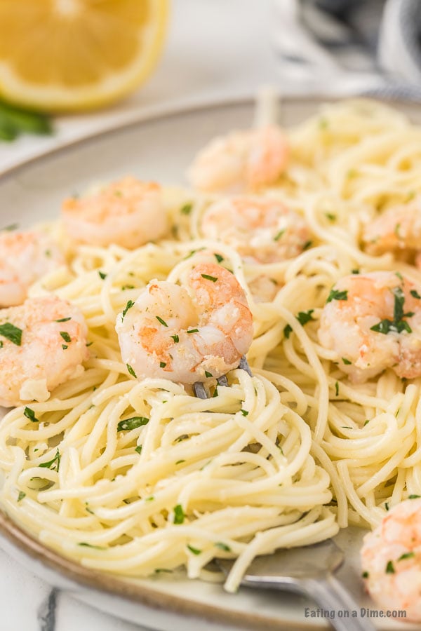 Close up image of a plate of shrimp scampi with pasta and a serving on a fork. 