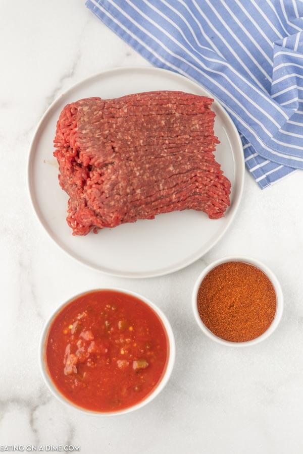 Ingredients for recipe: ground beef, salsa, taco seasoning. 