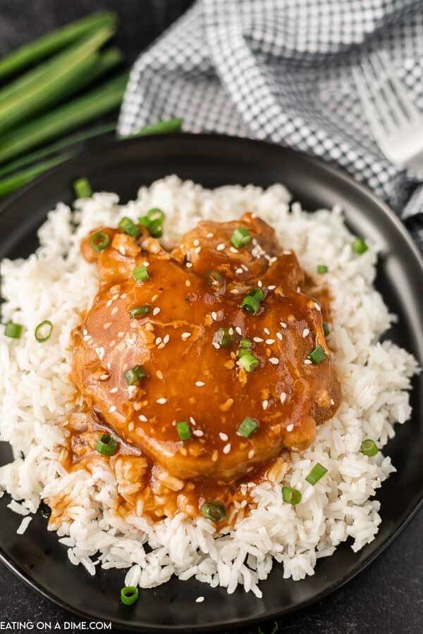 Close up image of teriyaki pork chops on rice on a plate.