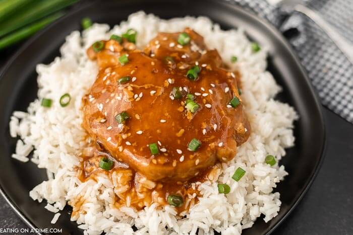 Close up image of teriyaki pork chops on rice on a plate.
