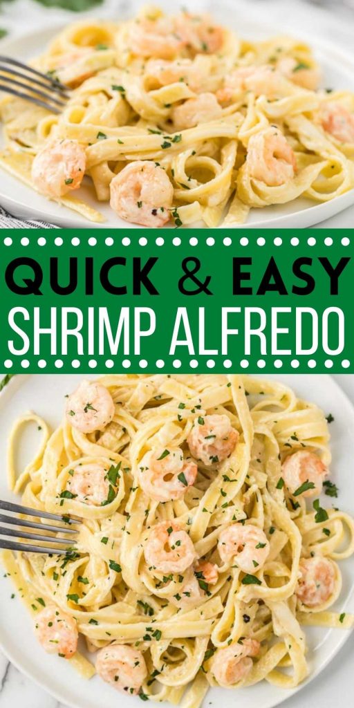 Easy Shrimp Alfredo Recipe comes together in minutes for an amazing meal. This homemade alfredo sauce is better than store bought and it taste great! Everyone will love this shrimp Alfredo recipe with pasta.  #eatingonadime #shrimprecipes #pastarecipes #seafoodrecipes #easyrecipes 

