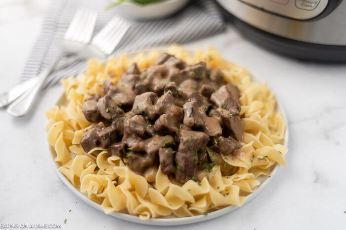 Pack up image of Pork Burgundy over noodles  Instant Pot Pork Burgundy Recipe instant pot beef burgandy 5