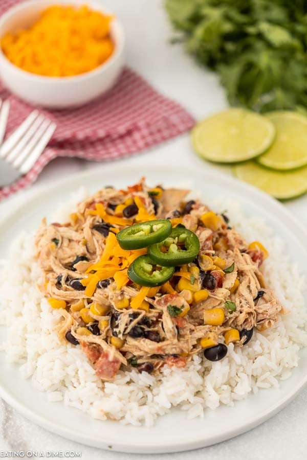 Close up image of fiesta lime chicken on rice on a white plate. 
