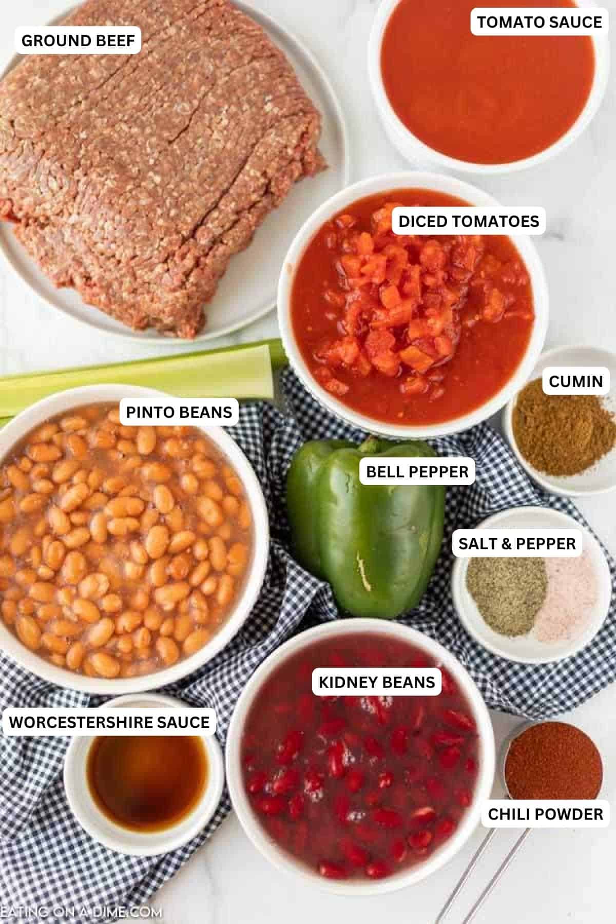 Ingredients for recipe - ground beef, pinto beans, kidney beans, celery, green bell pepper, Worcestershire sauce, tomato sauce, diced tomatoes, chili powder, cumin.