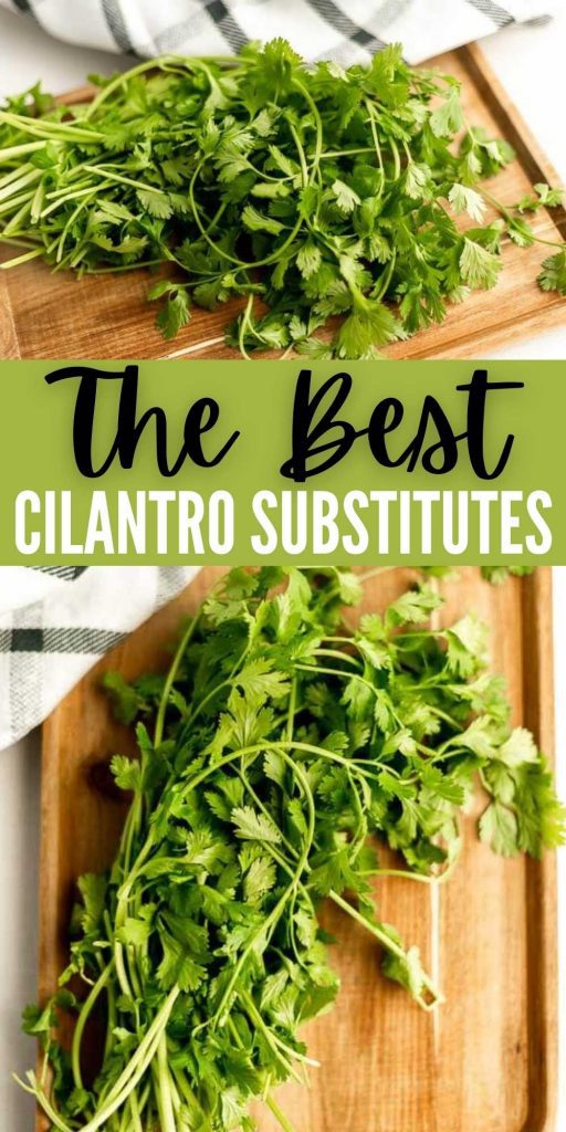 Whether you love or hate it, here are The Best Cilantro Substitutes. It is a must ingredient in most recipes but can leave it out in others. Check out the best cilantro substitutes for your favorite recipes or for in salsa.  #eatingonadime #ingredientsubstitions #cilantro #cilantrosubstituions 
