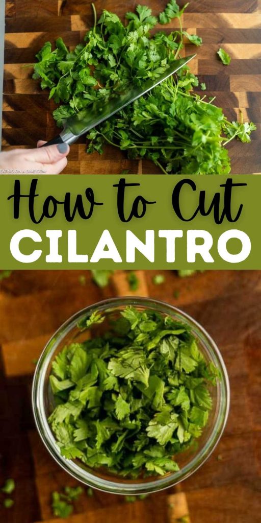 How to Cut Cilantro is good to know so you can add the right amount to your recipes. Follow these tips and tricks to cut your Cilantro.  Plus learn how to store cilantro too.  #eatingonadime #kitchentips #cookingtips #howto #cilantro 
