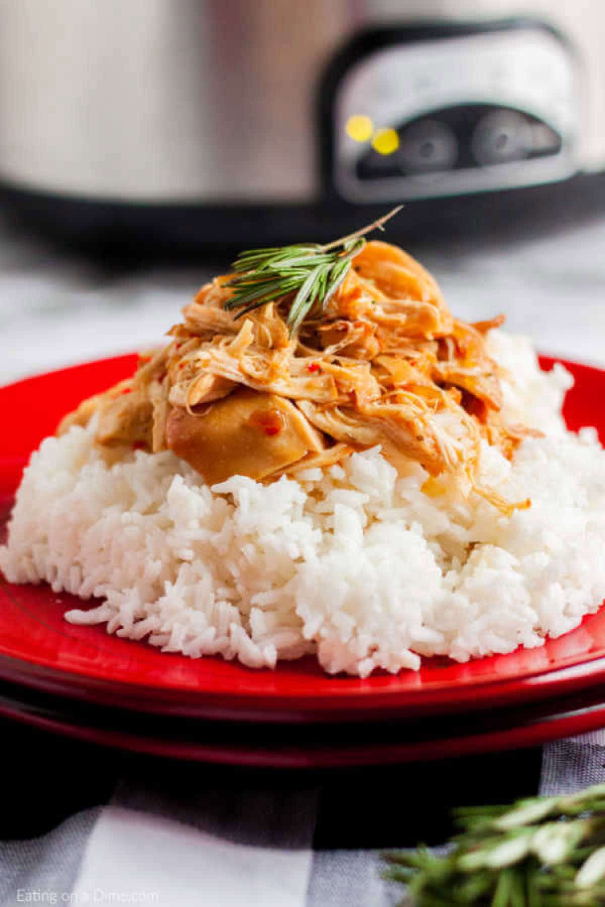 Crock pot savory chicken recipe is one of those easy recipes that sounds too good to be true but taste amazing. With just 3 ingredients, dinner is a breeze. A serving of Crockpot Savory Chicken with sauce on a bed of white rice, garnished with a sprig of rosemary, on a red plate with a slow cooker in the background.