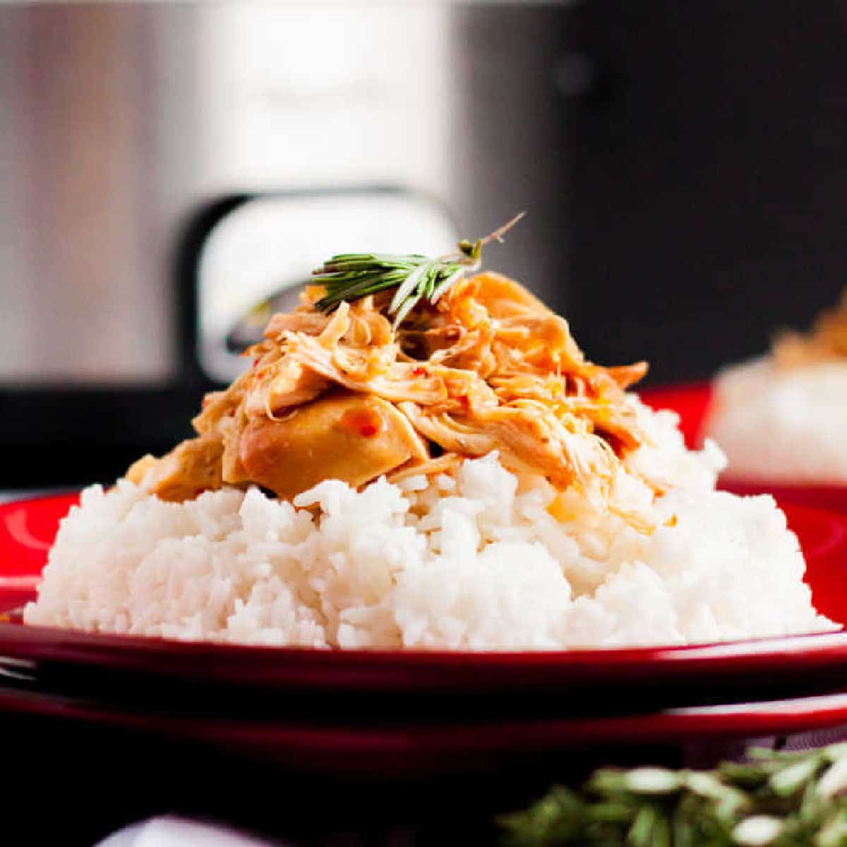 A serving of Crockpot Savory Chicken in a creamy sauce, garnished with fresh rosemary and piled on a bed of white rice, presented on a red plate.