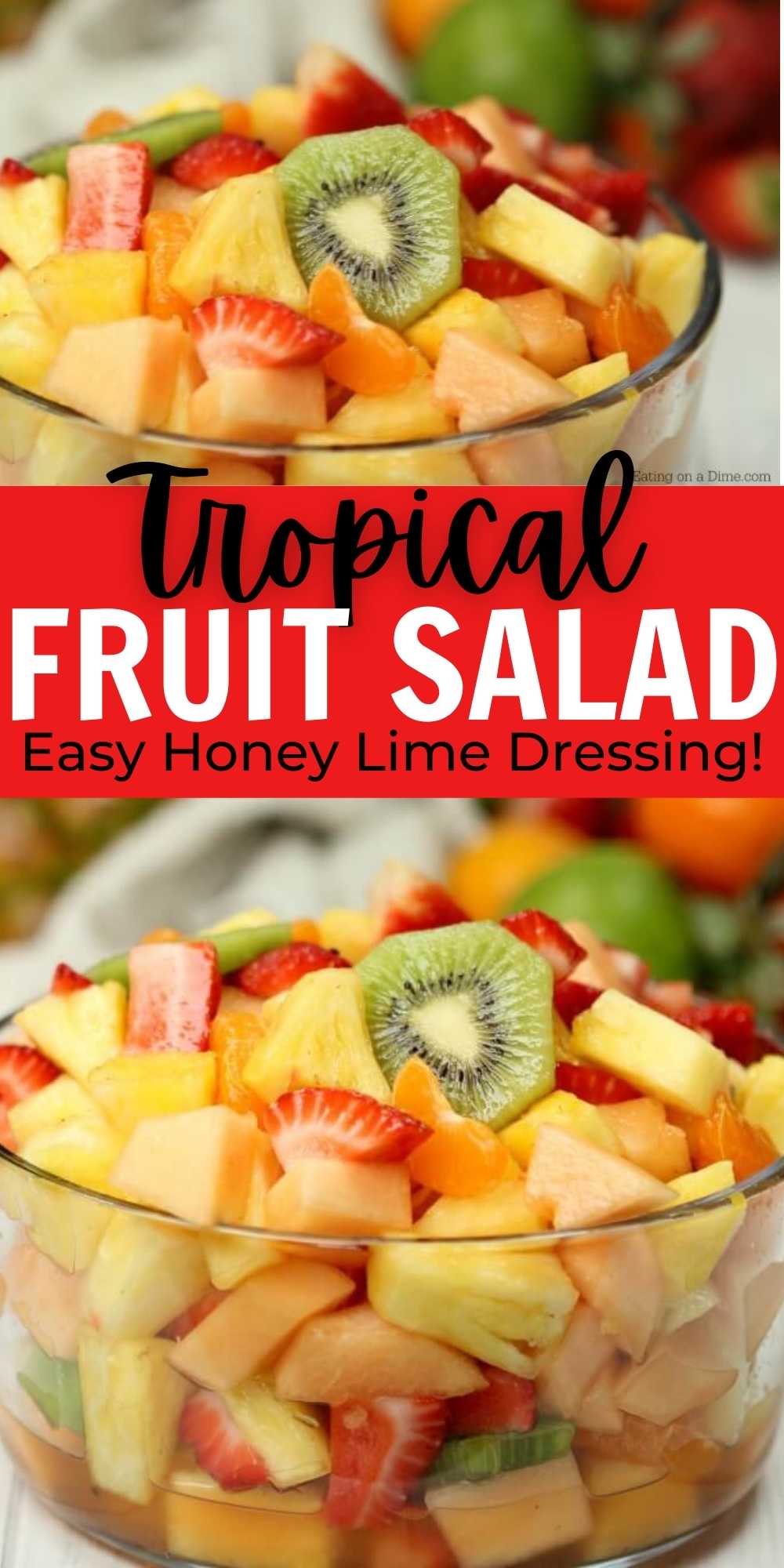 BBQ Summer Party Tableware Tropical Fruit Salad Hawaiian 