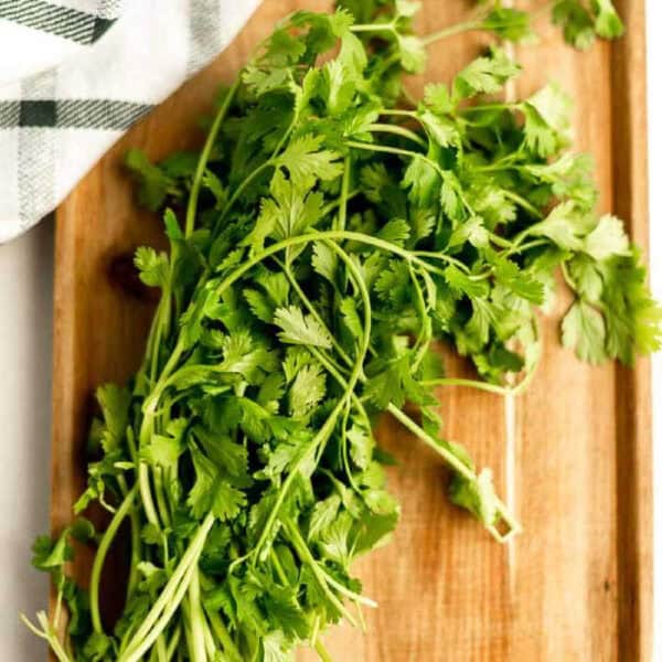 A bunch of fresh cilantro with green leaves and stems on a wooden cutting board, next to a white cloth with a black plaid pattern—perfect for anyone exploring the best cilantro substitutes in their recipes.