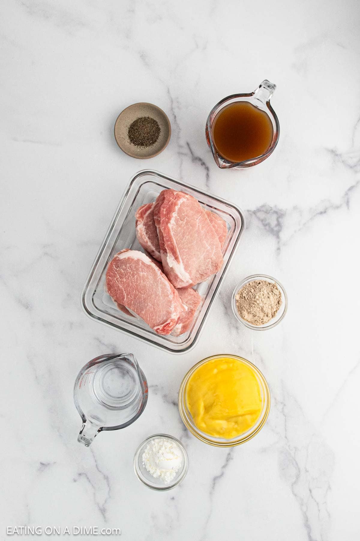 Ingredients - Pork Chops, cream of chicken soup, gravy mix, chicken broth, pepper, cornstarch
