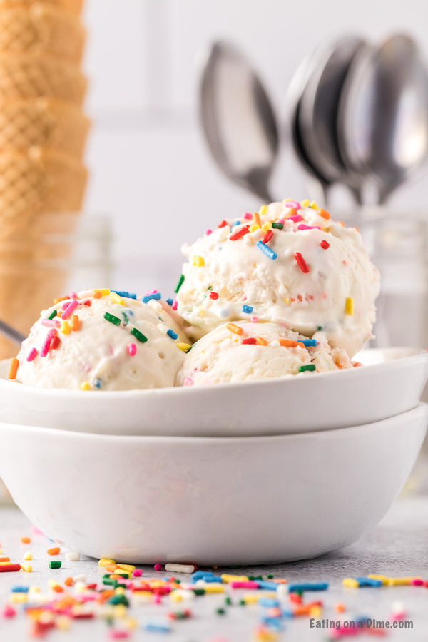 Birthday Cake Ice Cream in a bowl with sprinkles on top. 