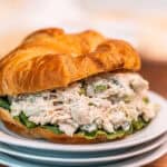 Close up image of chicken salad on a croissant.