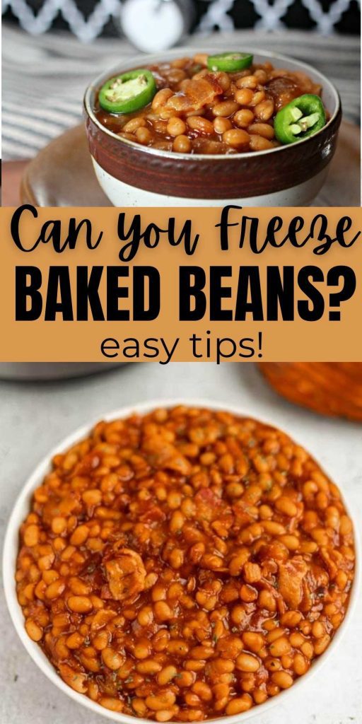 Have you ever made too much baked beans and thought Can you Freeze Baked Beans? These tips will show you how to freeze and enjoy them again. You are going to love this tips on how to freeze leftover baked beans.  #eatingonadime #freezertips #bakedbeans #howto 
