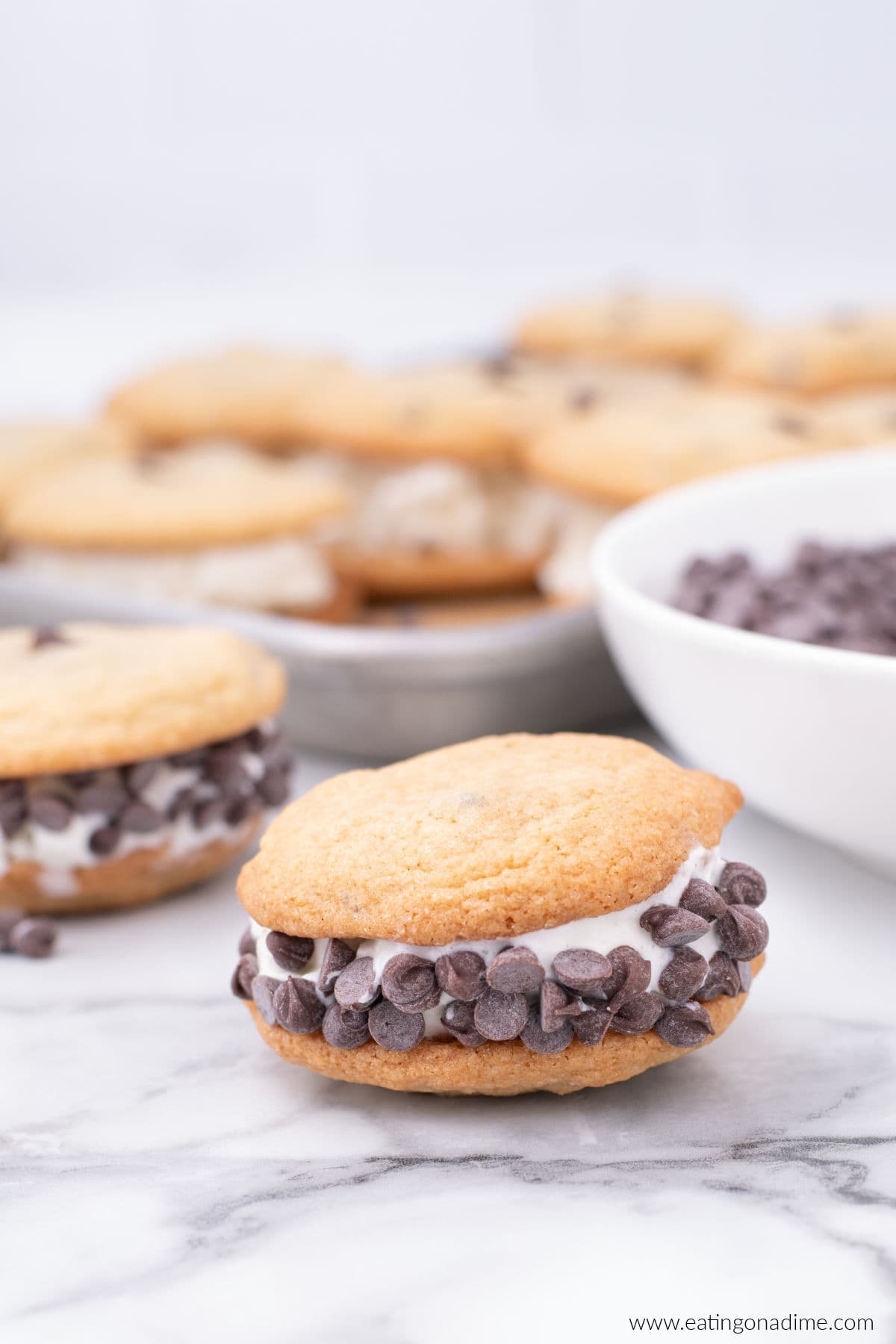 Chocolate chip cookie ice cream sandwich with chocolate chips on the side.