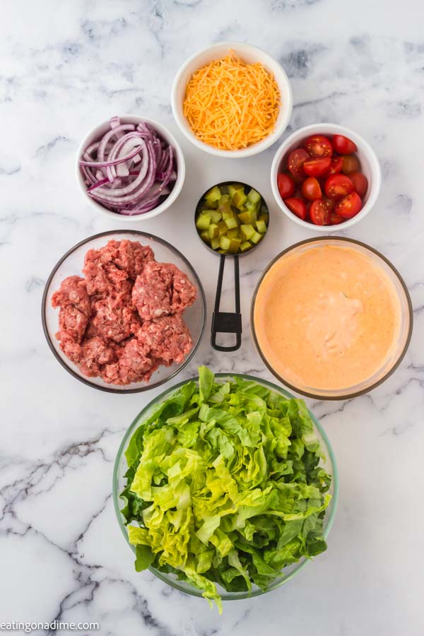 Ingredients needed - ground beef, salt and pepper, romaine lettuce, red onion, cheddar cheese, cherry tomatoes, pickles, mayonnaise, french dressing, pickle relish, white wine vinegar, paprika, garlic powder, onion powder