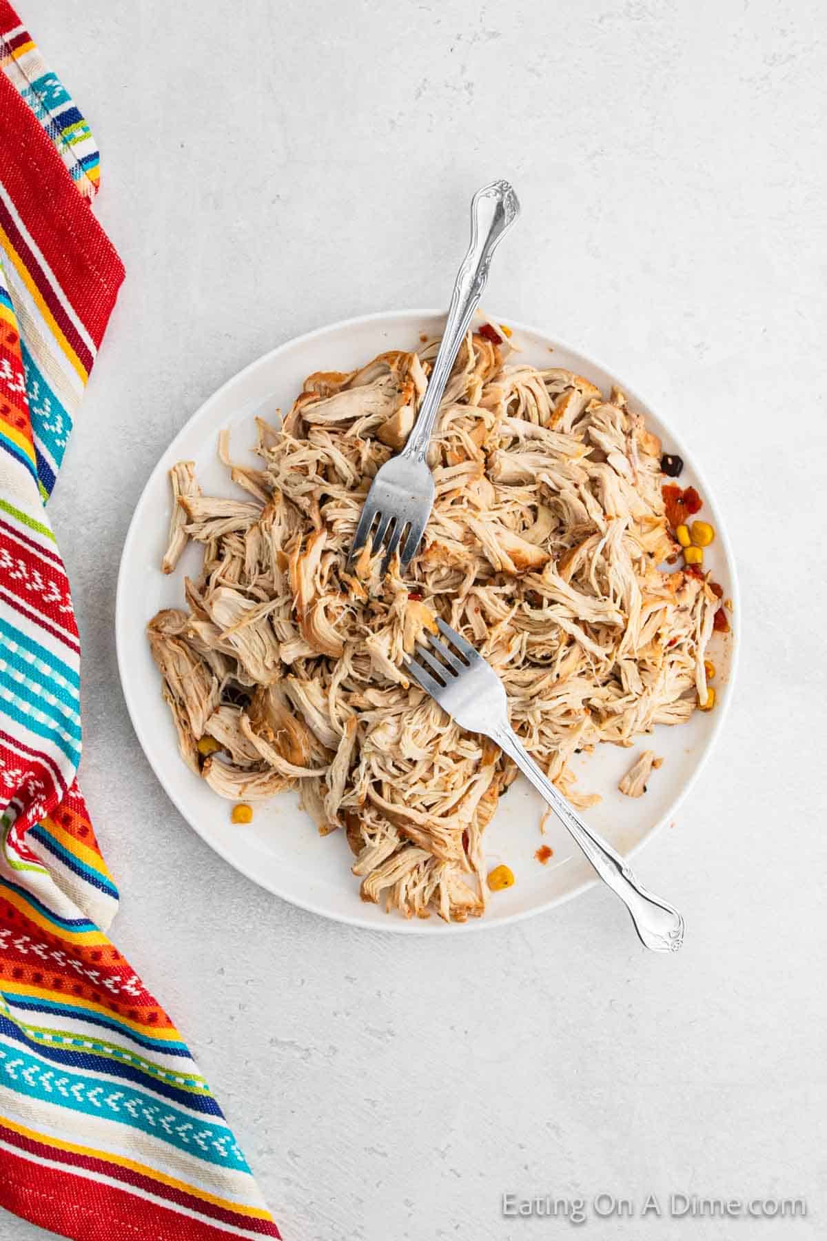 Shredded cooked chicken on a plate with two forks