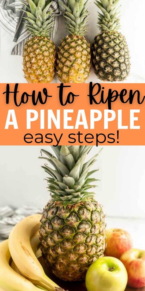 Learn How to Ripen a Pineapple so you can enjoy this tropical fruit quickly. This sweet and juicy fruit is so delicious and good for you. Check out these tips on how to ripen a pineapple quickly! #eatingonadime #pineapple #howto 
