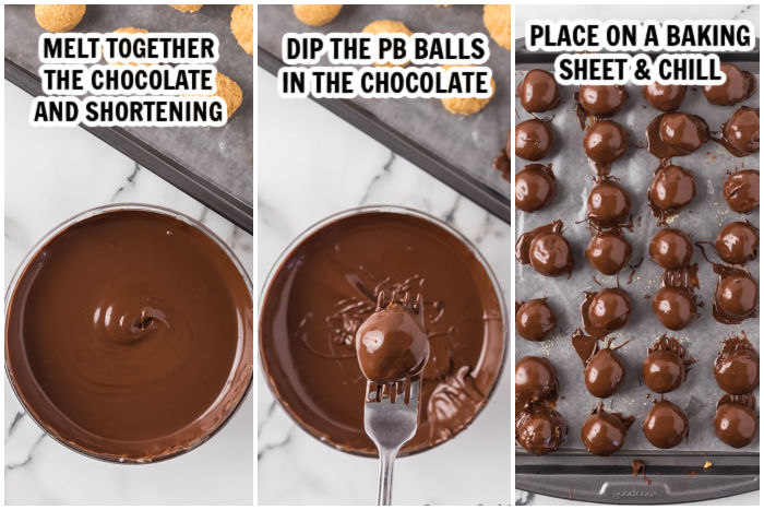 The process of sticking peanut butter balls in chocolate with a fork and putting a baking sheet