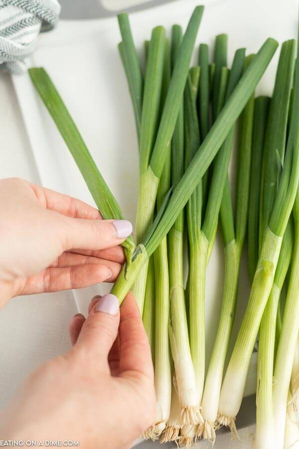 Close up image of a the green part being removed from the green onion. 