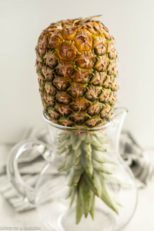 Close up image of pineapple upside down in a glass pitcher. 