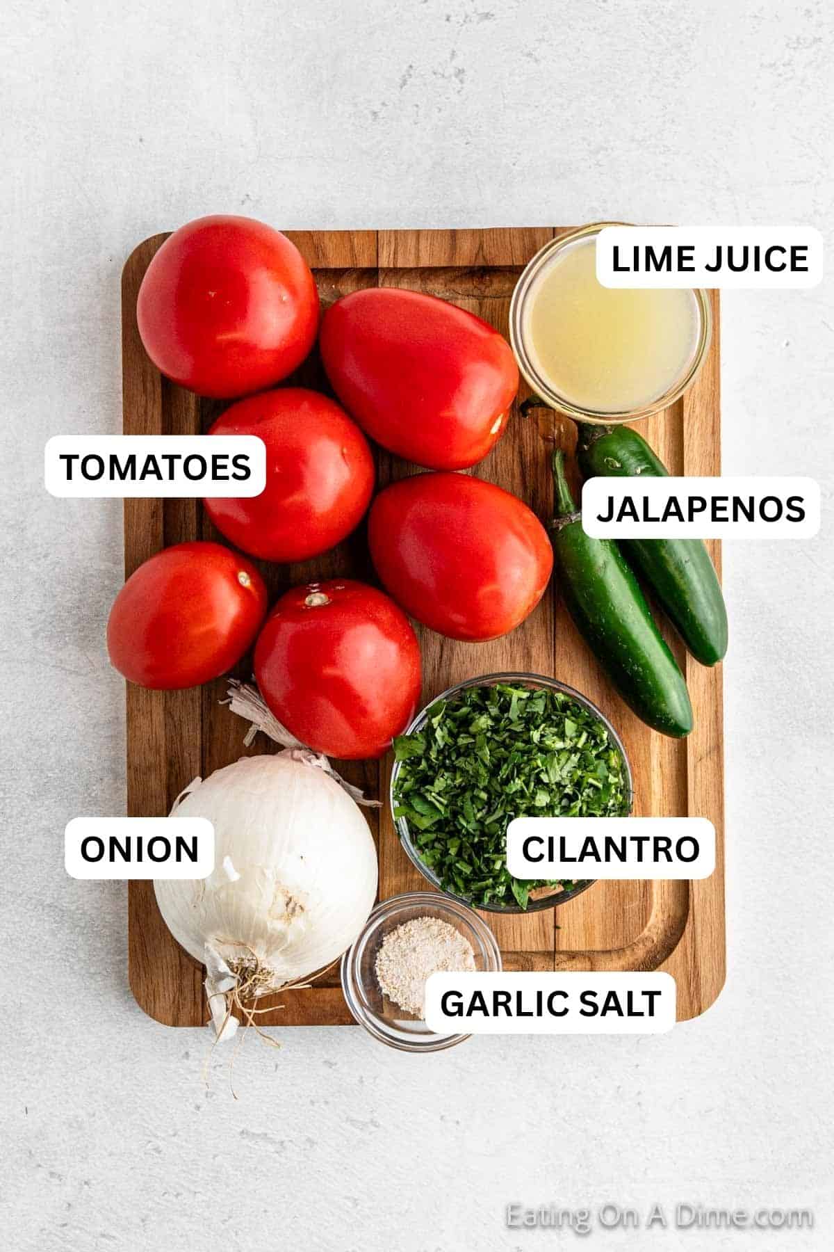 Ingredients needed for this recipe includes a bunch of tomatoes, two jalapeรฑos, a whole white onion, chopped cilantro in a bowl, salt in another bowl, and a glass bowl filled with lime juice.