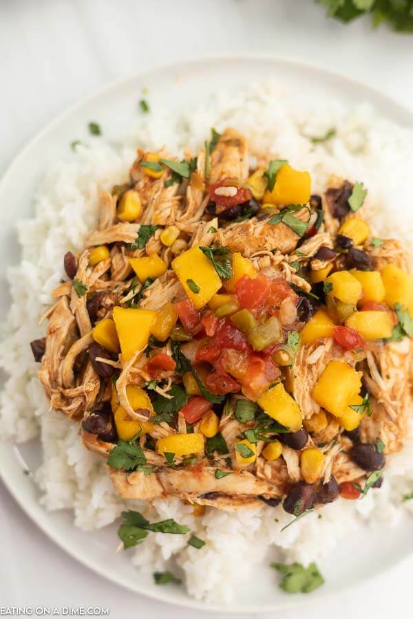 Close up image of chicken mango salsa on a rice on white plate. 
