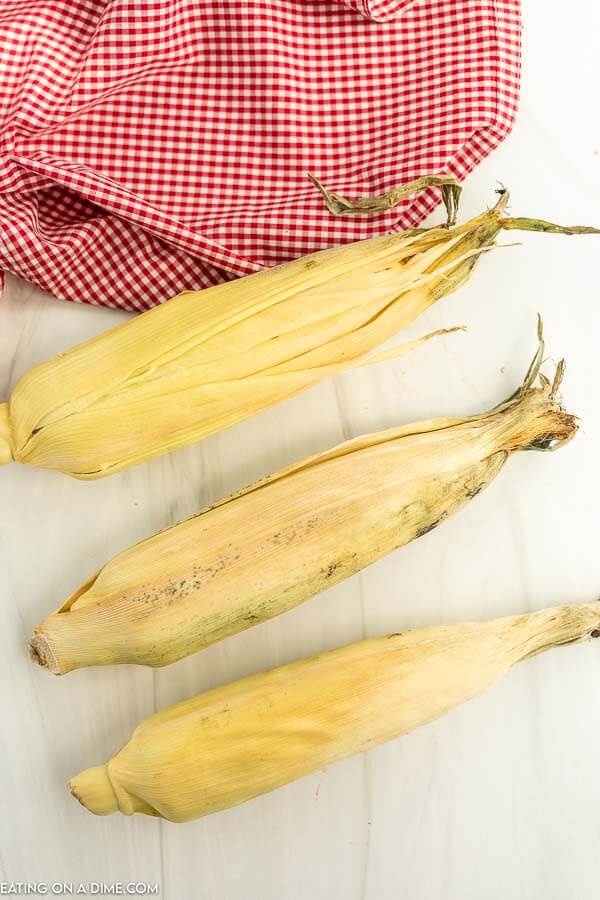 Corn on the Cob on a white plate with husk on