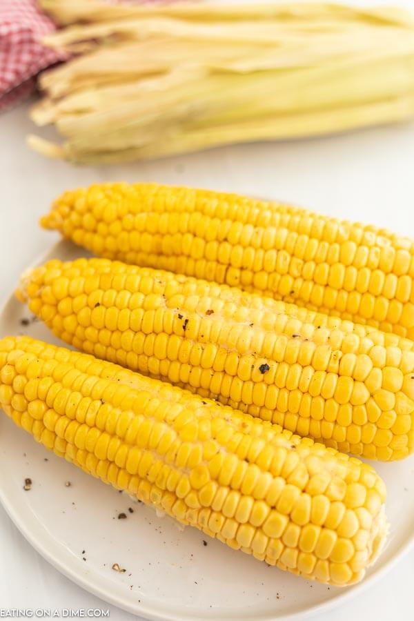 Corn on the Cob on a white plate 
