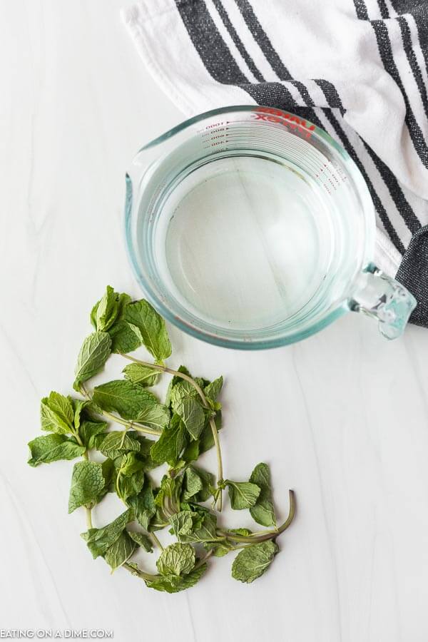 Ingredients for mint water. 