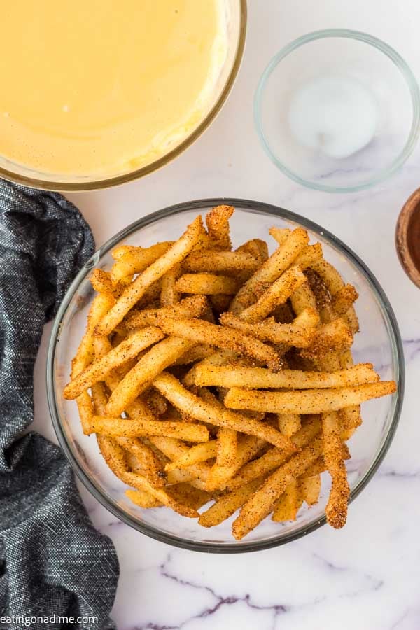Seasoned fries in bowl. 