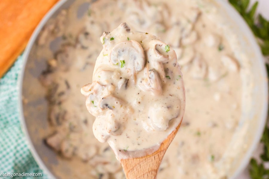 Close up photo of creamy mushroom sauce on a spoon. 