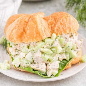 Close up image of cucumber chicken salad