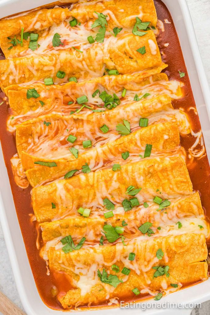 Bean and Cheese Enchiladas - Ready in 20 minutes