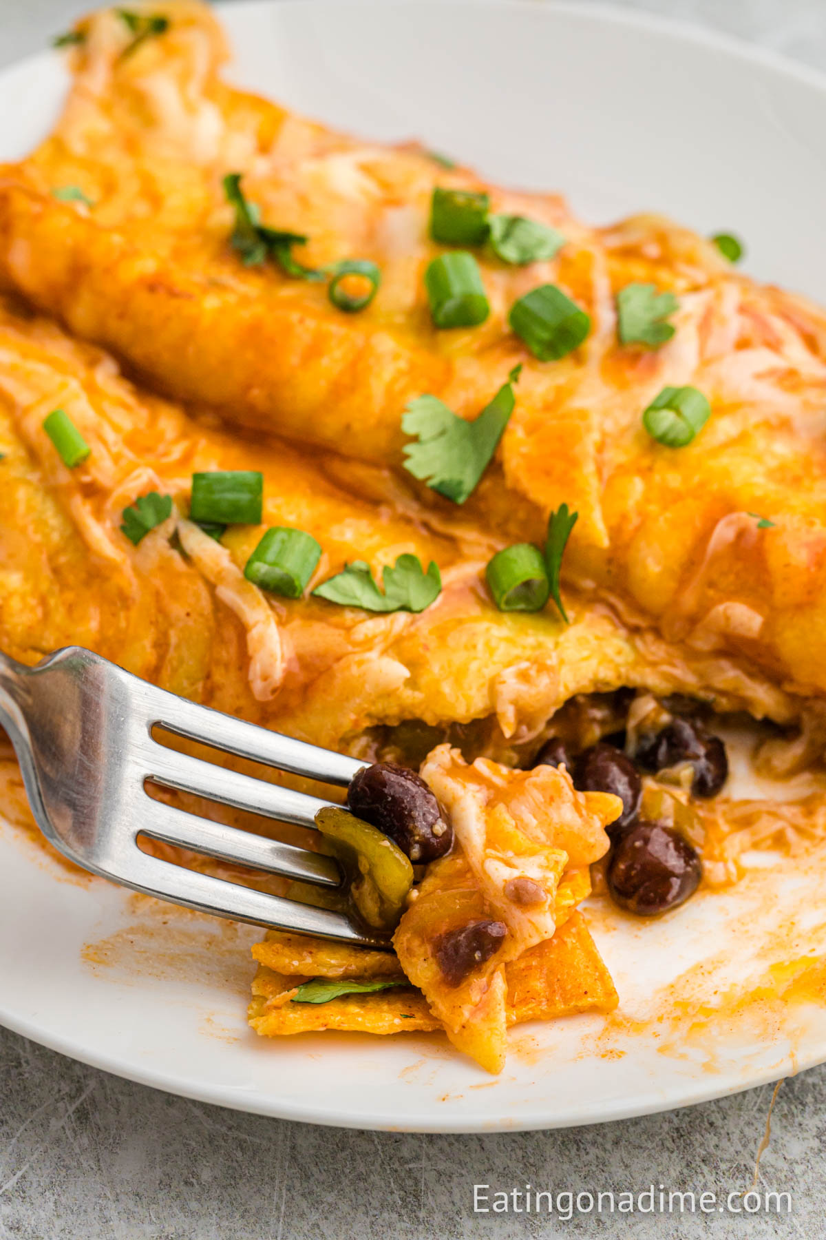 Bean and Cheese Enchiladas on a plate. 