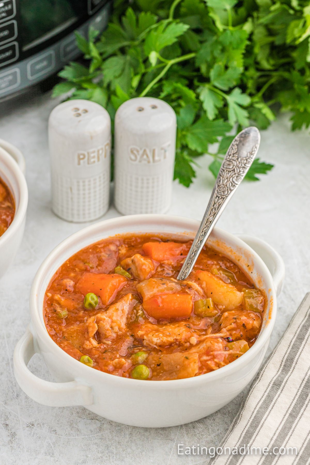 Close up image of pork stew in a white bowl