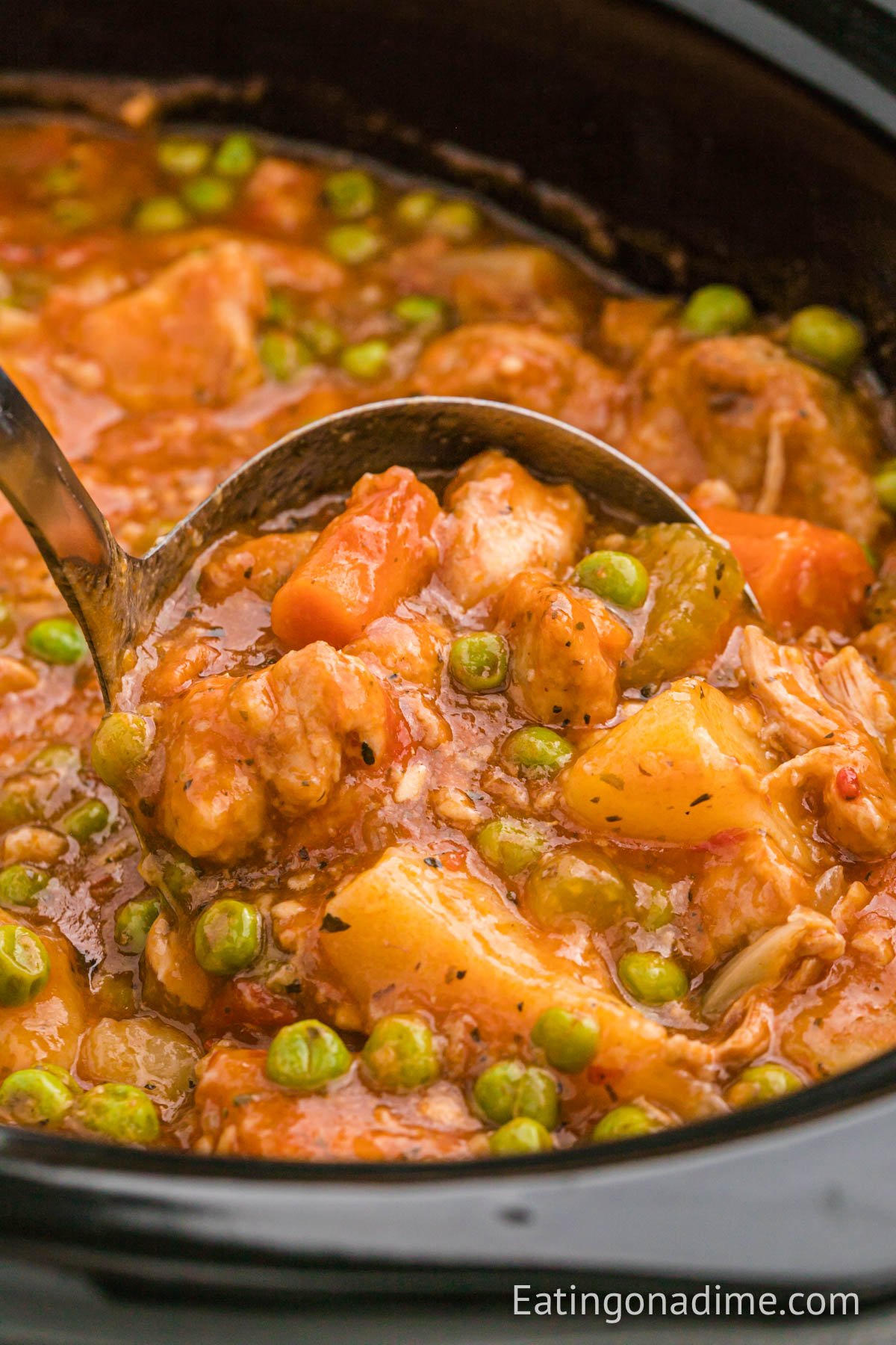 Pork Stew in a slow cooker with a serving on a ladle