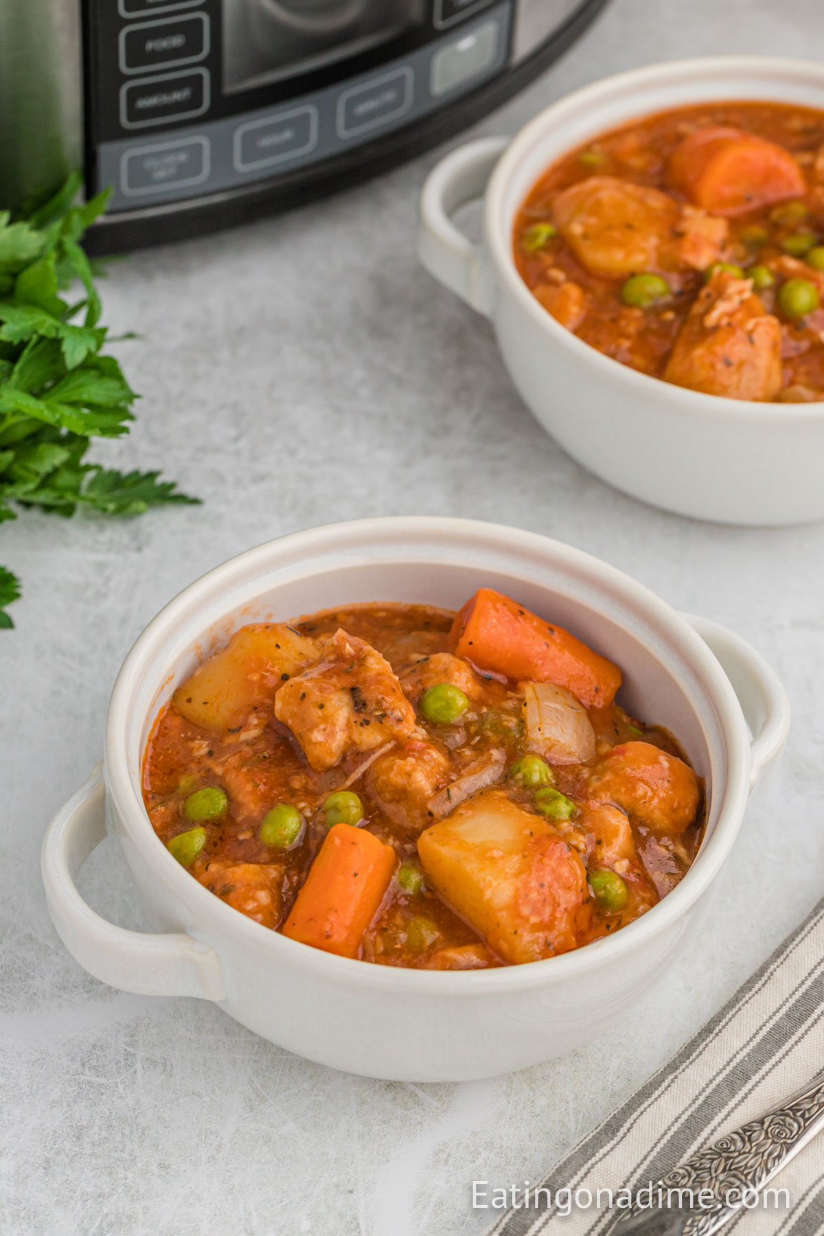 Close up image of pork stew in a white bowl