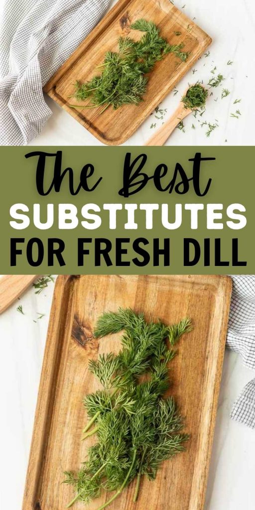 If you are making a recipe and out of Fresh Dill we have gathered The Best Fresh Dill Substitutes. This unique herb is hard to replace but these are definitely the best option.  Check out this simple dill substitutes. #eatingonadime #freshdill #freshherbsubstitutes #ingredientsubstitutes 
