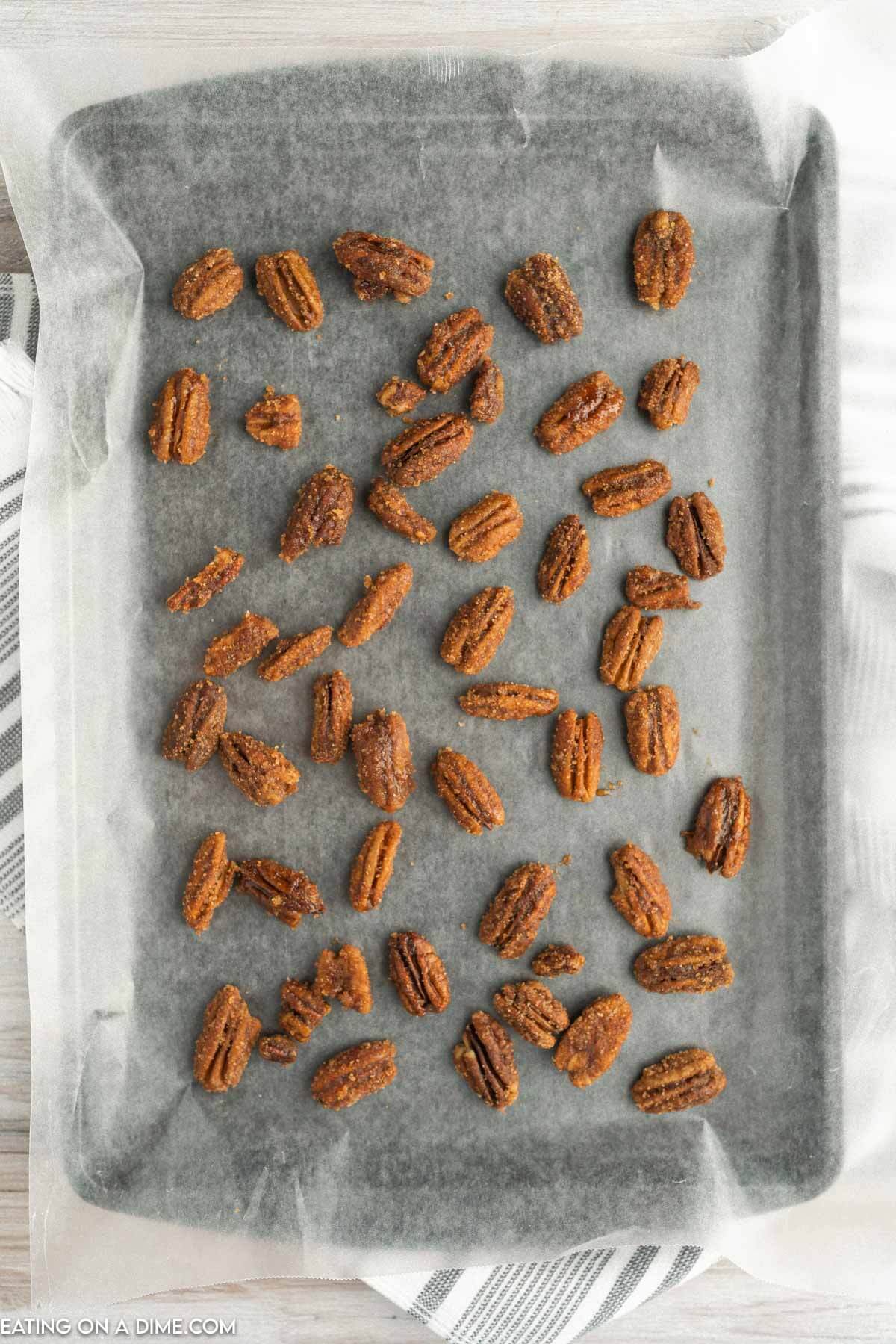 candied pecans cooling on a baking sheet