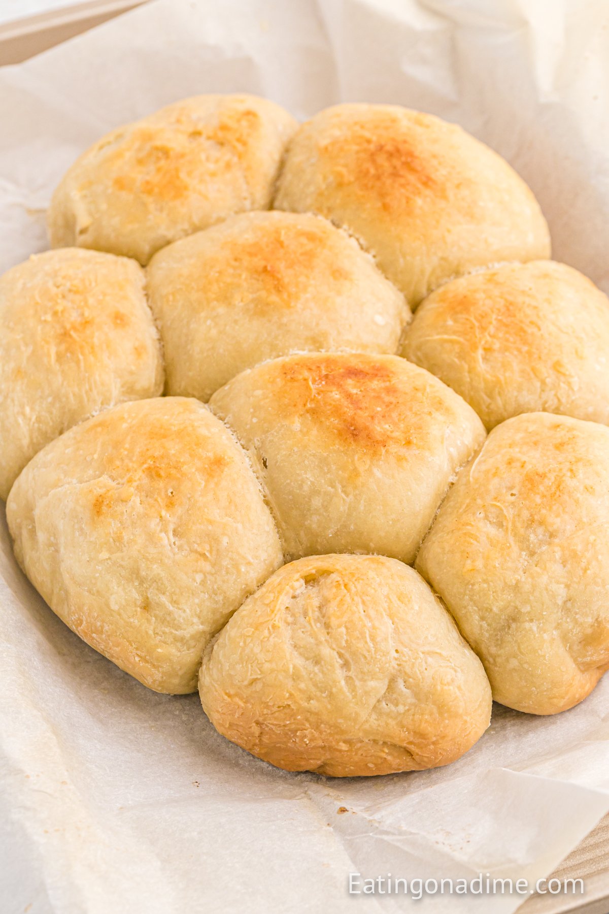 dinner rolls on parchment paper