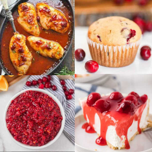 Square photo of cranberry recipes
