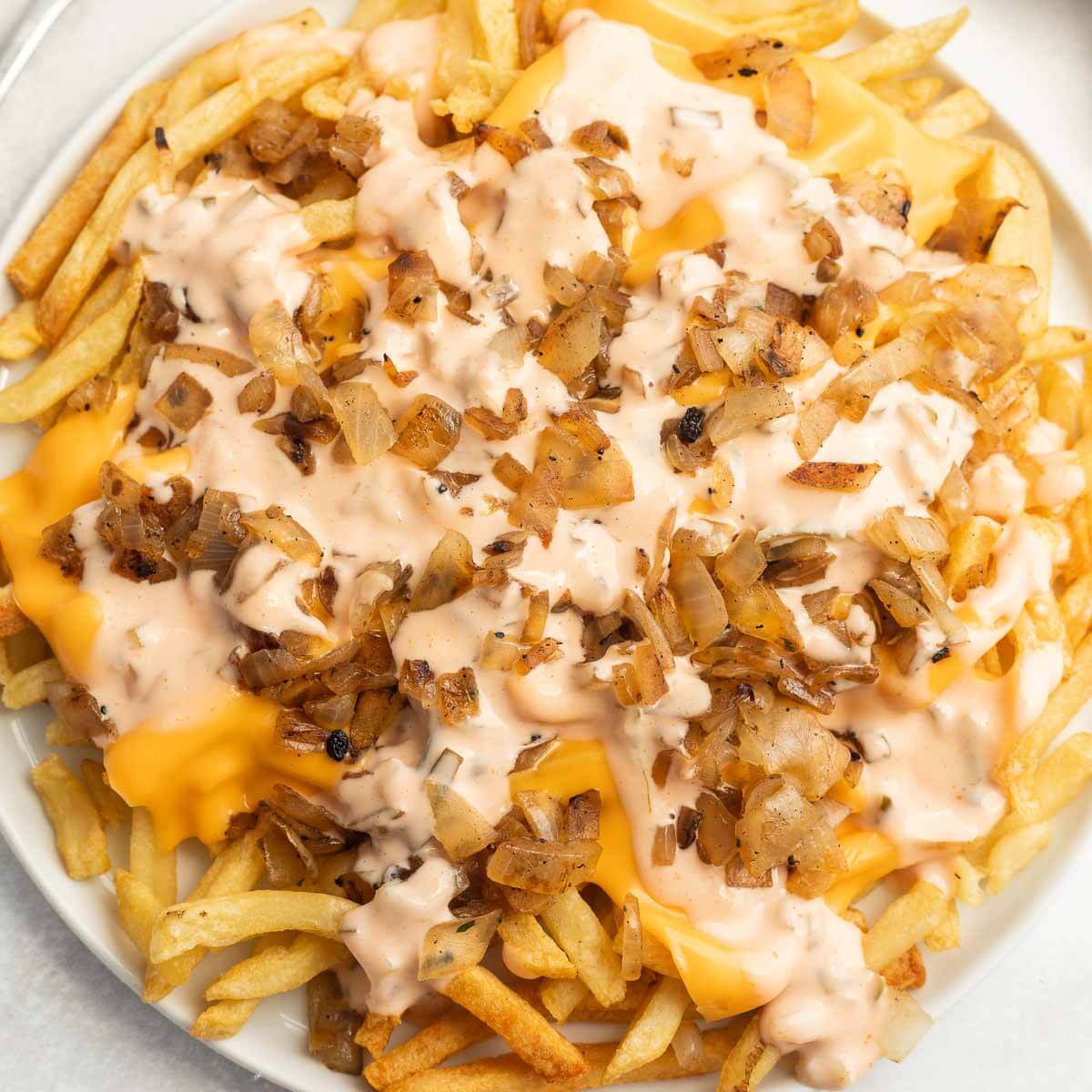 Animal Style French Fries on a plate